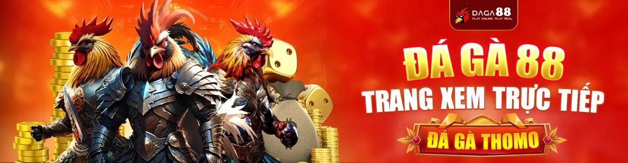 Văn phòng hỗ trợ của nk888 tại TP. Hồ Chí Minh