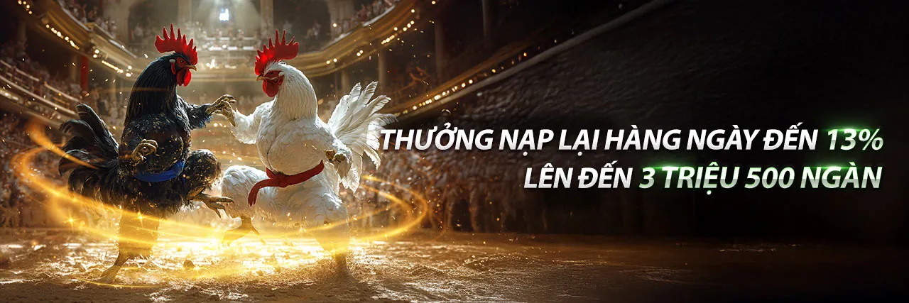 Đá Gà Trực Tuyến tại NK888 Trang Chủ Chính Thức